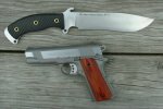 busse mojo  colt.jpg
