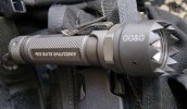 gg&g-surefire001.jpg