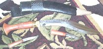 pga#3 for 5-21 -- 18 inch chitlangi by murali.jpg