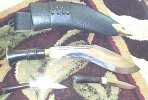 pga#2 for 5-24 -- 12 inch ak by kumar.jpg