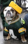 PACKER.jpg