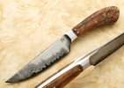 hunter070-small.jpg