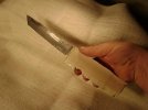 DSC00252.jpg