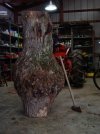 DSC00533.JPG