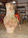 DSC00532.jpg