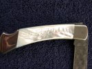 DSCN2264.jpg