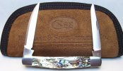 Case Bose Abalone Muskrat Front.jpg