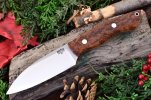 BRK-BushSeax-ThuB.jpg
