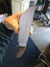 ImageUploadedByTapatalk1430329618.401086.jpg