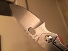 IMG_3960.jpg