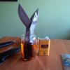 IMG_20150502_161610.jpg
