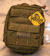 Padded Pouch.jpg