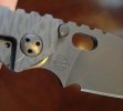 Strider PT OD Green Flamed Ti 6.jpg