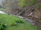 Hidden Kabar Wild Cabbage knife 2.jpg