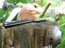 IMG_0261.jpg