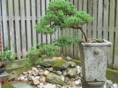 DSCN0398.jpg