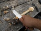 ambush hand.jpg