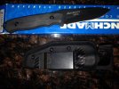 Nimravus Cub M2.jpg