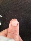 Thumb SAK.jpg