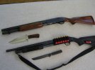 Shotguns1.jpg