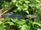CRK Pacific1b.JPG