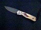 Sebenza Unique '08.jpg