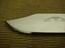 DSC06706.JPG