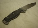 Marzitelli bowie 008.jpg