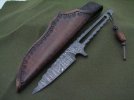 knifebesidesheath.jpg