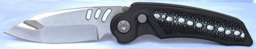 MRXCustom-rayskin.jpg