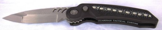 MRXCustom-rayskin-2.jpg