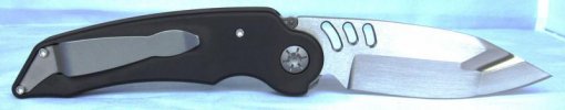 MRXCustom-rayskin-3.jpg