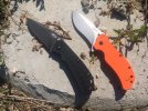 ZT.jpg