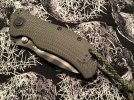 zt2.jpg