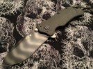 zt3.jpg