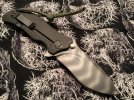 zt1.jpg