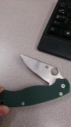 para2-2.jpg