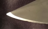 ImageUploadedByTapatalk1436881122.457249.jpg