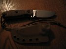 Busse GW 003.JPG