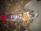ImageUploadedByTapatalk1437944651.444661.jpg
