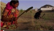 indian2.jpg indian2.jpg