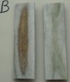 B #2  (2).jpg