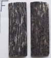 F #1  (2).jpg