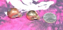 bronze and copper half skulls side.jpg bronze and copper half skulls side.jpg