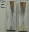 E Back  (2).jpg