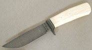 giraffemohunternew8002.jpg