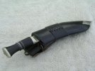HI Villager pen in scabbard.jpg