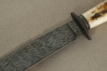 fossilizedwalrusbowie750.jpg