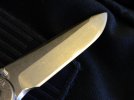 DSCN2738.jpg