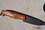 DSC_2497.jpg